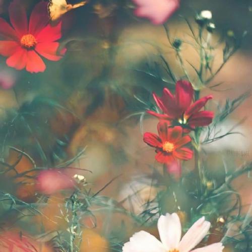 张学友 轻抚你的脸 (DJ村总 FunkyHouse Mix 2025)粤语