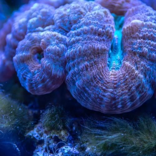 合浦DJMing-国粤语Club抖音我对你的付出你却视而不见串烧